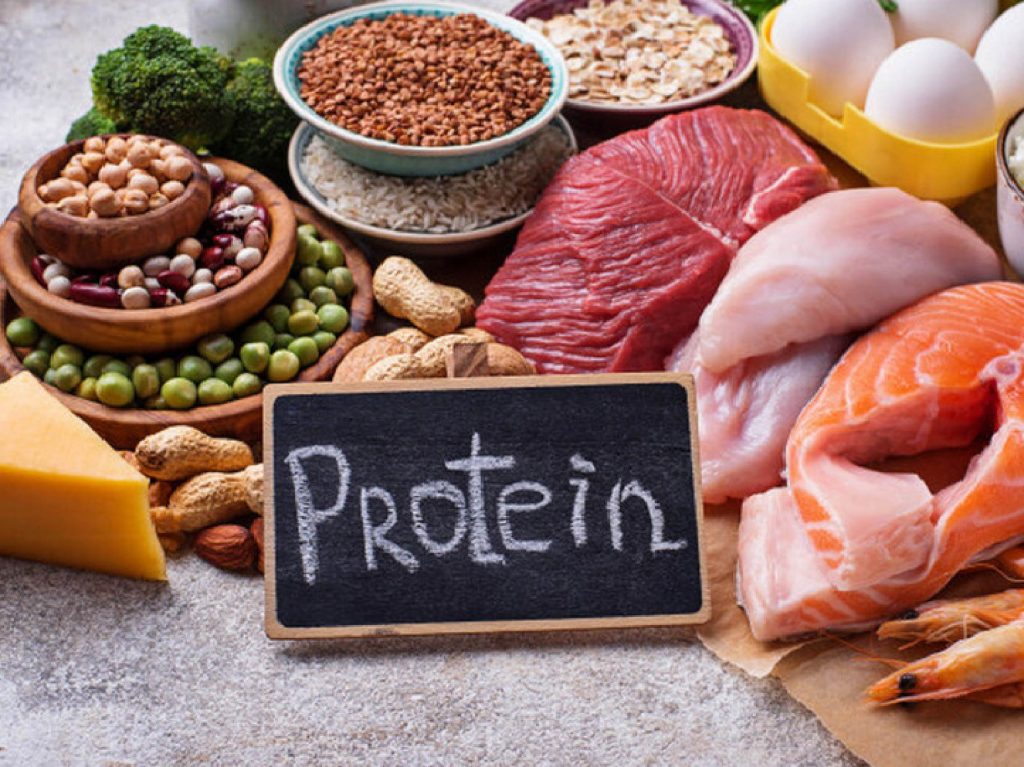 protein từ thực phẩm