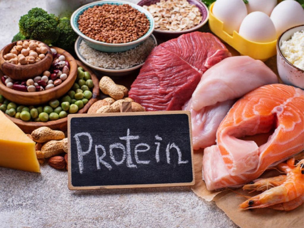 đạm protein