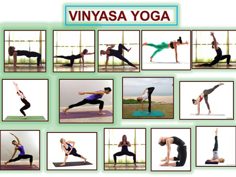 Sự mềm mại và tinh tế của Vinyasa Yoga trong cuộc sống