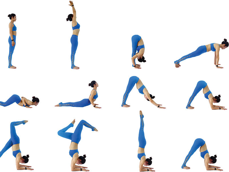 tư thế con bò cạp trong Yoga