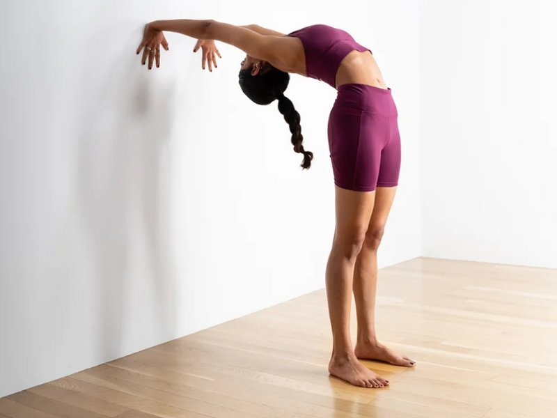 Biến thể bánh xe dựa vào tường