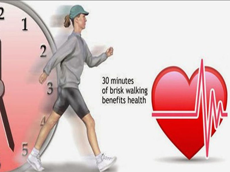 Chạy bộ 30 phút mỗi ngày tốt cho hệ tim mạch