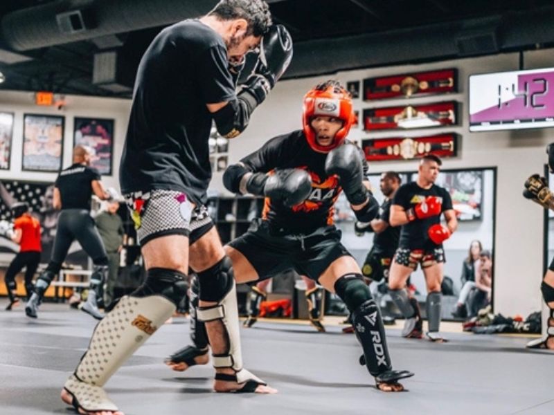 Sinh ra và lớn lên tại Việt Nam, Hồ Tuấn An bắt đầu học MMA khi chuyển đến Mỹ định cư năm 12 tuổi.