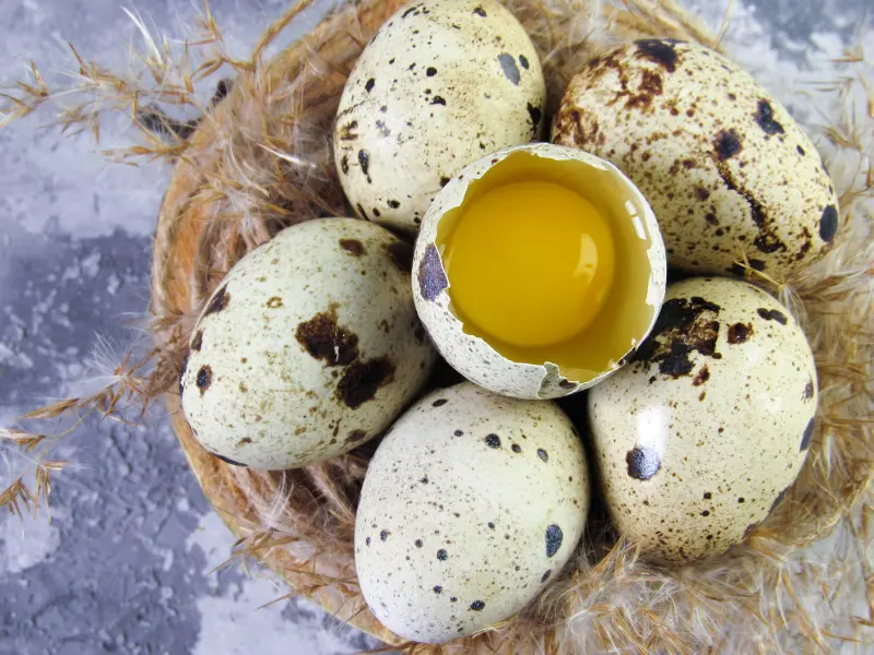 Ăn trứng cút giảm cân hay tăng cân? Dinh dưỡng trong trứng cút – “nhỏ nhưng có võ”