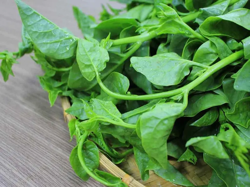 giảm cân bằng rau mồng tơi