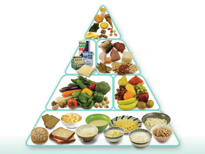Tháp dinh dưỡng cho trẻ 6-11 tuổi cùng 5 thực đơn món ăn lành mạnh, giàu dinh dưỡng